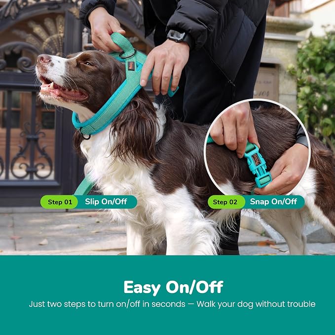 No Pull Dog Harness for Small Dogs, Breathable Mesh Padded, Green, S | Quick Fit, Easy On and Off, Adjustable, Reflective Vest Harness for Night Safty, Easy for Walking and Training, Chest 18-22" - Image 4