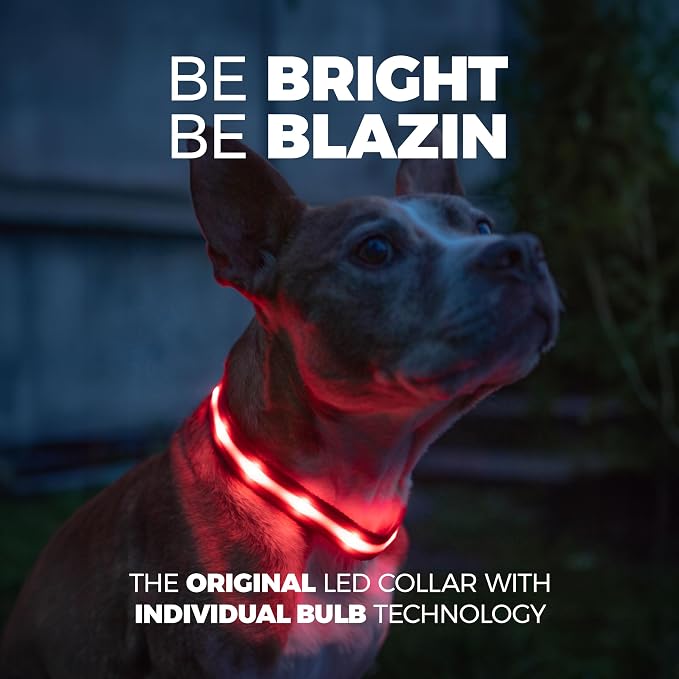 Blazin Light Up Dog Collar - The Original LED Dog Collar - USB Rechargeable - Waterproof - 1,000 Feet of Visibility - Dog Collar Light for Small, Medium, Large Dogs - USA Brand - Image 2