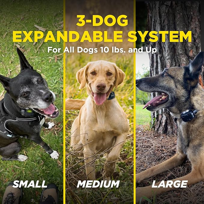 Dogtra 280X 2-Dogs E-Collar with Remote [New Edition] 10 lbs+, 1/2 Mile Range, LED Light, 100 Levels of Control for Stubborn Dogs, Waterproof, Boost for Quick Recall, Vibration, Safety Lock & Tone - Image 2