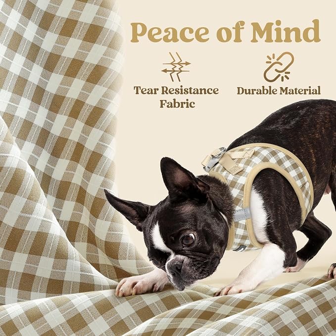 rabbitgoo Step-in Small Dog Harness, Puppy Vest for Small Sized Pet | Easy Put on and off, Lightweight, Soft, Breathable Quick-Dry Air Mesh for Comfortable Secure Walking, Beige Check S - Image 4