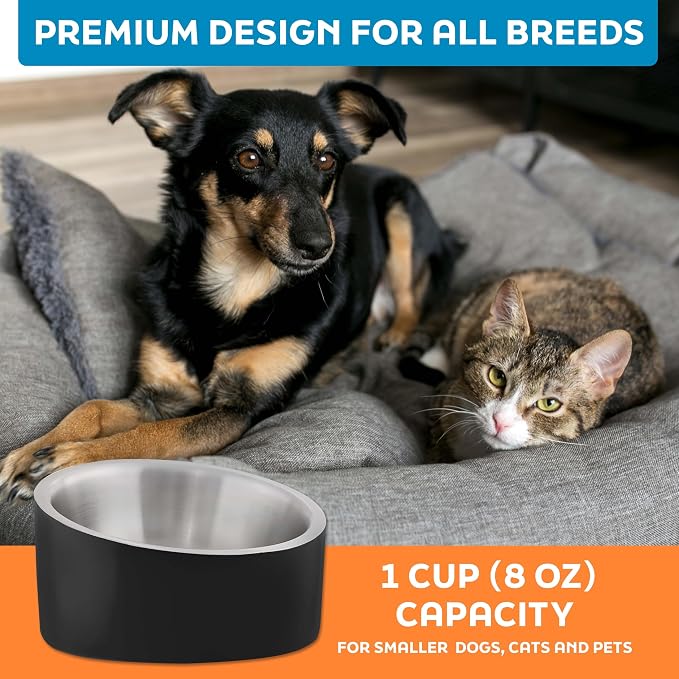 Master Pet Supply Stainless Steel Slanted Dog Cat Food Bowl 8 oz Black | Heavy Duty Double Wall Insulated Non-Slip Elevated Bowl for French Bulldogs Pugs Cats Anti Rust Dishwasher Safe, Black Velvet - Image 7
