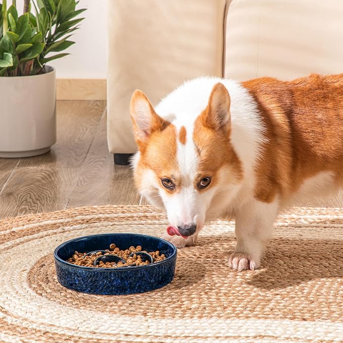 vancasso Slow Feeder Dog Bowl, 1.5 Cup Ceramic Puzzle Dish for Medium Breed | Maze Dog Food Bowl for Fast Eaters, Slow Feeding Design for Medium Dogs, Promotes Healthy Eating Habits, Blue - Image 8
