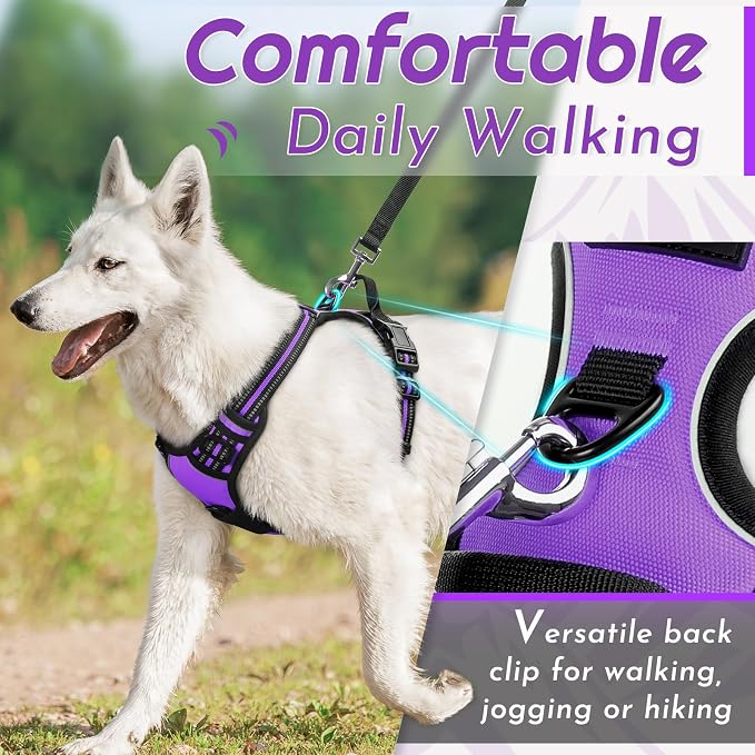 Eagloo Dog Harness for Large Dogs, No Pull Pet Vest with 2 Leash Clips | No Choke with Handle, Adjustable Comfort Fit, Reflective Strips, Easy Walking Control, Purple, Large - Image 3