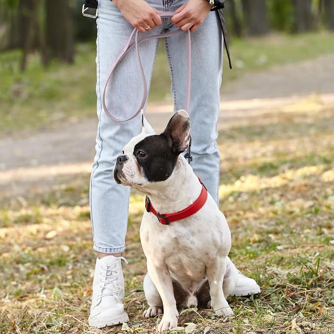 Dogline Biothane Waterproof Dog Leash Strong Coated Nylon Webbing with Black Hardware Odor-Proof Easy to Clean High Performance for Small or Large Dogs Made in USA 4 or 6 ft Lead, Pastel Purple - Image 7