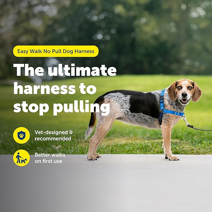 PetSafe Easy Walk Harness, No Pull Dog Harness, Royal Blue, Small/Medium | Patented Martingale Loop Gives Gradual Shoulder Pressure to Stop Pulling, Front-Chest Leash Clip Prevents Gagging - Image 2