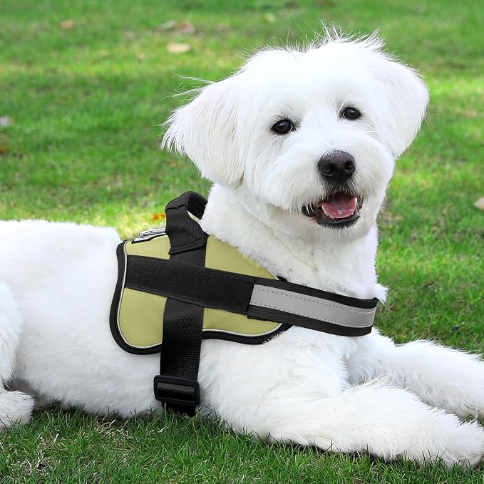 Dog Harness, No-Pull Reflective Dog Vest, Breathable Adjustable Pet Harness with Handle for Outdoor Walking - No More Pulling, Tugging or Choking - Image 8