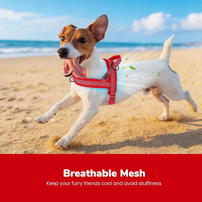 No Pull Dog Harness for Small Dogs, Breathable Mesh Padded, Red, S | Quick Fit, Easy On and Off, Adjustable, Reflective Vest Harness for Night Safty, Easy for Walking and Training, Chest 18-22" - Image 2