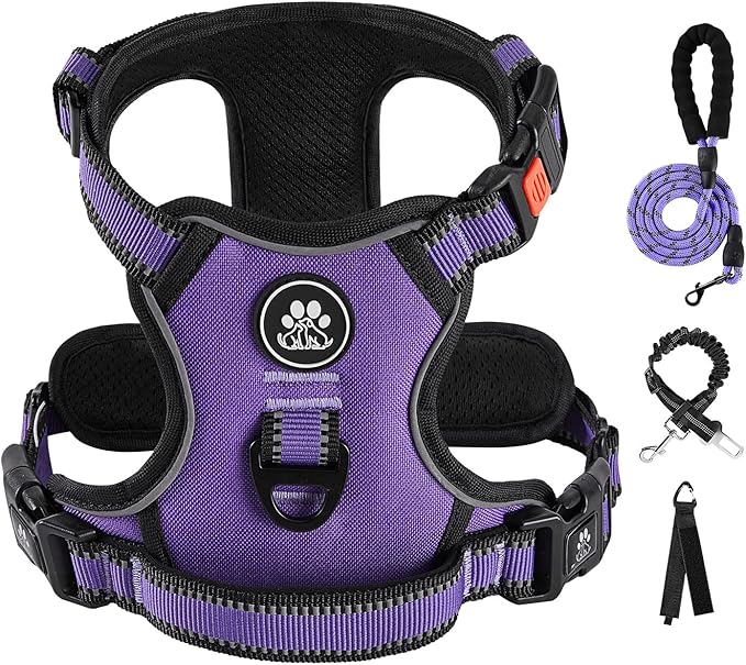 IVY&LANE No Pull Dog Harness for Medium Dogs, Dog Vest Harness with Leash, Safety Belt and Storage Strap, Fully Adjustable Harness, 360° Reflective Strip, Soft Handle (Purple, M) by IVYLANE