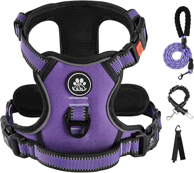 IVY&LANE No Pull Dog Harness for Small Dogs, Dog Vest Harness with Leash, Safety Belt and Storage Strap, Fully Adjustable Harness, 360° Reflective Strip, Soft Handle (Purple, XS) by IVYLANE