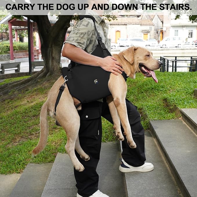Coodeo Dog Lift Harness, Pet Support & Rehabilitation Sling Lift Adjustable Padded Breathable Straps for Old, Disabled, Joint Injuries, Arthritis, Loss of Stability Dogs Walk (Black, XS) - Image 4