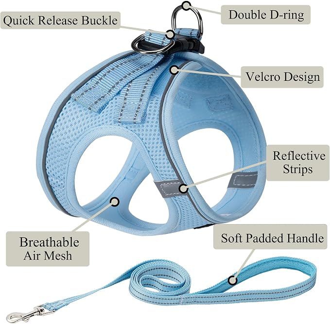 Dog Harness with Leash Set, Step-in Adjustable Puppy Pet Vest, Sky Blue L | Lightweight Breathable Air Mesh, Night Safety Reflective, No Pull Puppy Vest Harnesses for Small Medium Large Dogs, Cats - Image 2