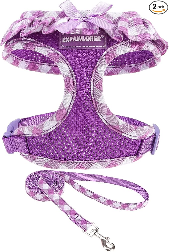 EXPAWLORER Step-in Dog Harness Small Sized and Leash Set | Cute Small Dog Harness No Pull Girl, Breathable Soft Mesh Padded, Adjustable Light Puppy Vest for Dogs Cats, Purple S by EXPAWLORER