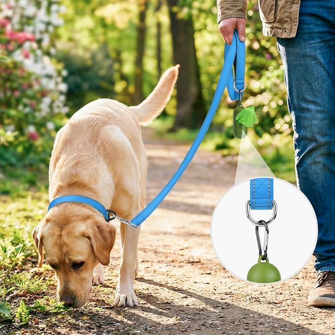 Joytale Reflective Dog Leash for Small Dogs, 4 FT x 3/4", Sky Blue | Heavy Duty Nylon Webbing, Padded Handle for Comfort, Visible at Night, for Walking & Training - Image 2