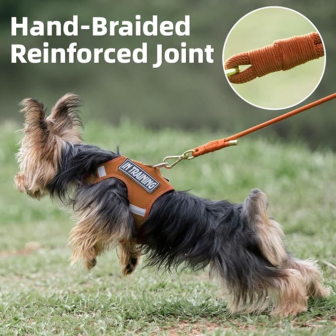 5FT Dog Leash 5/16 inch Puppy Cat Rope Lead | Carmel Brown, with Anti-tangle Swivel Clip, Comfortable Non-slip Grip Handle, Ideal for Daily Walks, for Small Medium Dogs - Image 3