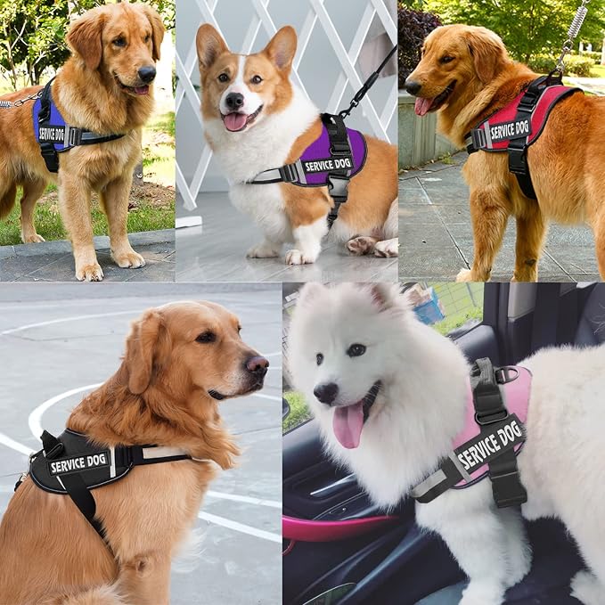 JSXD Dog Harness,No-Pull Service Dog Harness with Handle Adjustable Outdoor Pet Dog Vest 3M Reflective Nylon Material Vest for Breeds,Easy Control for Small Medium Large Dogs - Image 8
