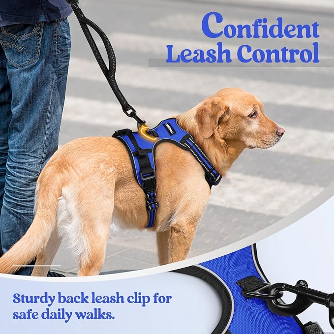 rabbitgoo Dog Harness, No Pull for Large Dogs with 2 Leash Clips, Pet Vest | No Choke with Handle, Adjustable Soft Padded, Reflective, Easy Control for Walking, Dazzling Blue, X-Large - Image 6