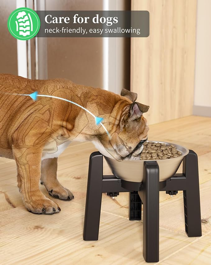 Elevated Dog Bowl, Raised Dog Bowl Stand with Stainless Steel Bowl | Elevated Pet Water & Food Bowl for Medium Dogs, Stable and Anti-Slip Raised Bowl - Image 7