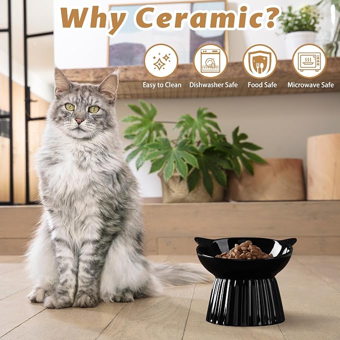 Ceramic Raised Cat Bowl，Tilted Raised Bowl Anti Vomit for Indoor Cats Whisker Friendly Pet Feeder for Cats Puppies, Microwave and Dishwasher Safe (Black) - Image 2