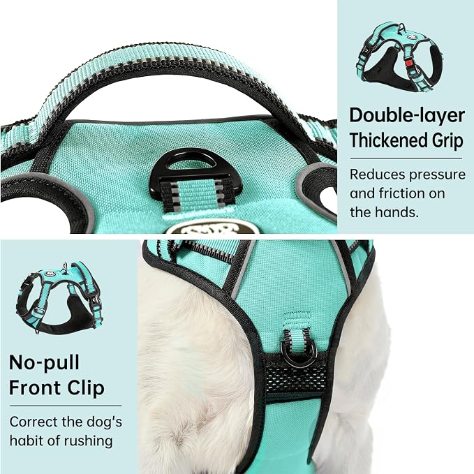 IVY&LANE No Pull Dog Harness with Leash Set, Reflective No Choke Pet Vest,Adjustable Oxford Dog Vest Harness with Easy Control Handle for Large Dogs (Turquoise,XL) - Image 5