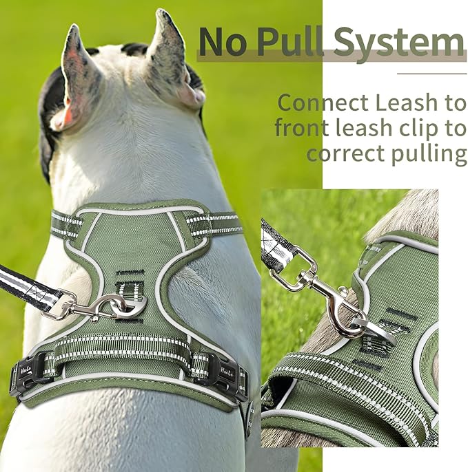 HEELE Dog Harness, Dog Harness for Small Medium Large Dogs No Pull Adjustable Padded Reflective Harness with Handle for Walking Training, Green, S | Soft Breathable Padded Pet Vest, No Pull No Choke, Adjustable 2 Metal Rings for Outdoor Walking Training - Image 4