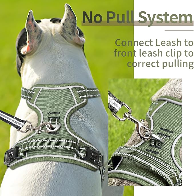 HEELE Dog Harness, No Pull Adjustable Padded Reflective Harness for Small Medium Large Dogs with Handle for Walking Training, Green, M | No Choke with Control Handle, Soft Breathable Padded Pet Vest, Adjustable, Reflective Front Clip Vest for Night Wal... - Image 3