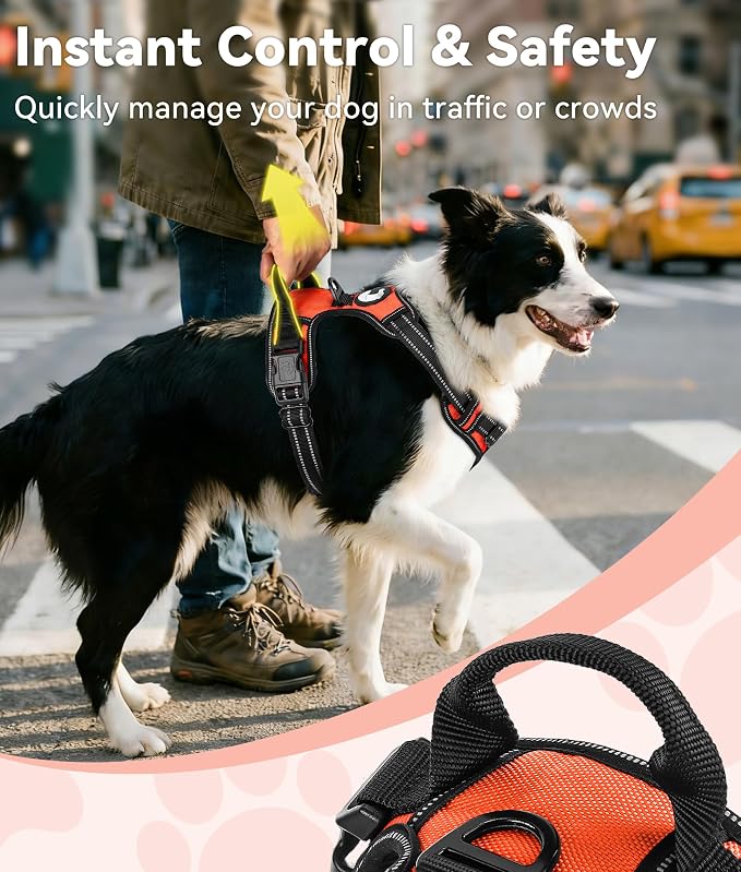 Joytale No Pull Dog Harness for Small Dogs, Front Clip, Orange | Grab Handle for Instant Control, Padded & Adjustable Vest, Sturdy Metal D-Rings, for Safe Training & Daily Walking - Image 3