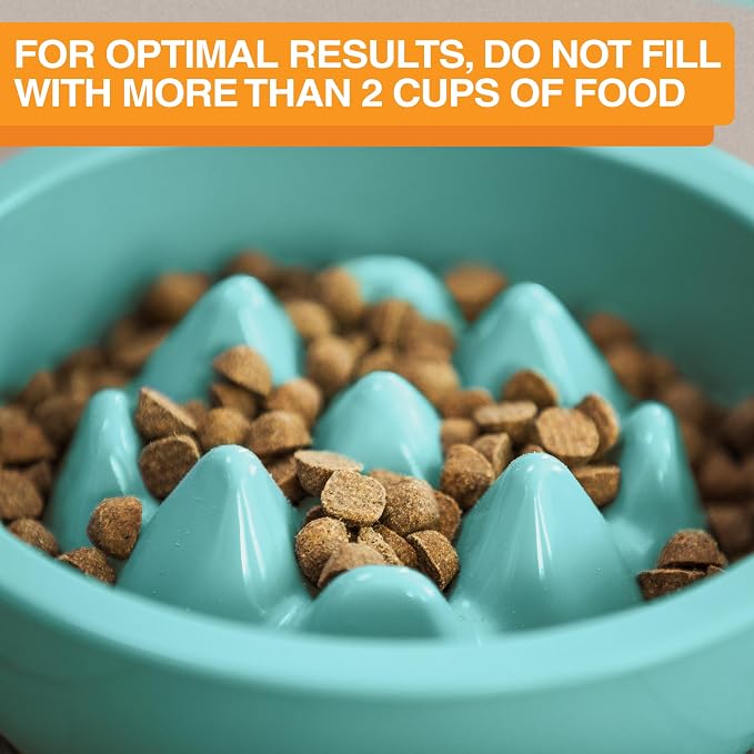 The Niner Slow Feed Bowl - Raised Peaks Slow Down Pets Eating - Fits Elevated Feeders Including Neater Feeder Large Sizes - Gentle on Teeth and Gums - Holds up to 2 Cups (Aquamarine) - Image 6