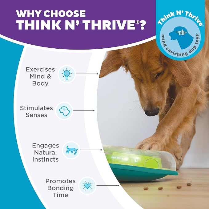 Outward Hound by Nina Ottosson Wobble Bowl Slow Feeder Dog Puzzle, Level 1 Beginner, 11.6 inches x 3.5 inches, Multicolored | Level 1 Easy, Holds 1 Cup Kibble or Treats, Easy Clean, No BPA, Turns Meals into Interactive Game, Enrichment, Dogs & Puppies - Image 6