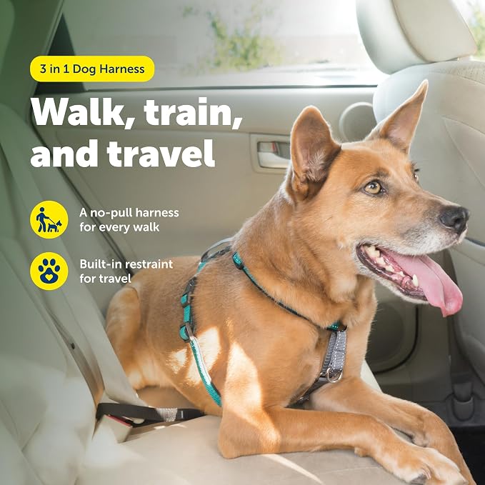 PetSafe 3 in 1 No-Pull Dog Harness - Walk, Train or Travel - Helps Prevent Pets from Pulling on Walks - Seatbelt Loop Doubles as Quick Access Handle - Reflective Accents - Medium, Teal | Rests on Chest Not Throat to Reduce Pulling, 5 Adjustment Points,... - Image 2