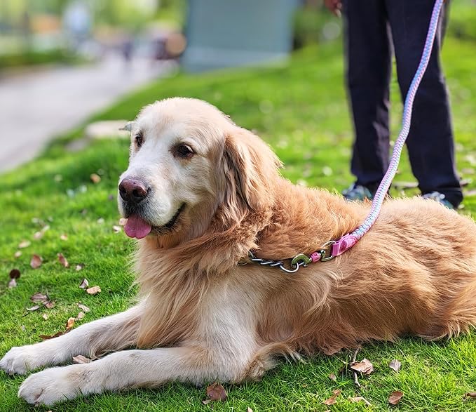 6ft Reflective Large Dog Leash 3/4" Strong Nylon Thick Rope Braided | Heavy Duty for Large Xlarge Dogs & Giant Dogs Walking Training Leads (Pink) - Image 3