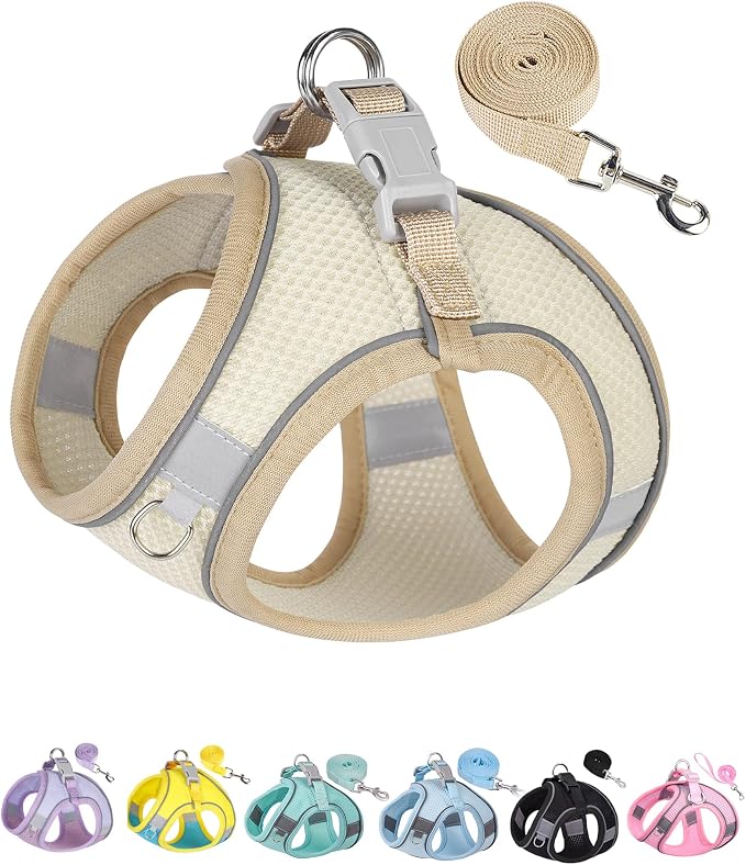 Solmoony Dog Harness for Small Medium Dogs No Pull, Puppy Harness and Leash Set, Puppy Harness for Small Dogs, Step in Harness for Small Dogs, Small Dog Harness, mesh Dog Harness. (Beige, XXS) by SOLMOONY