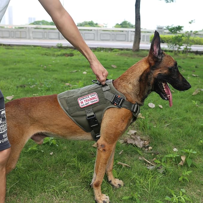 ICEFANG Tactical Dog Harness for Large Dogs,Reflective No Pull Dog Vest | with Control Handle,Adjustable,Front Hook,2 Leash Clips,Soft Padded,MOLLE Panel,Green,Large - Image 3