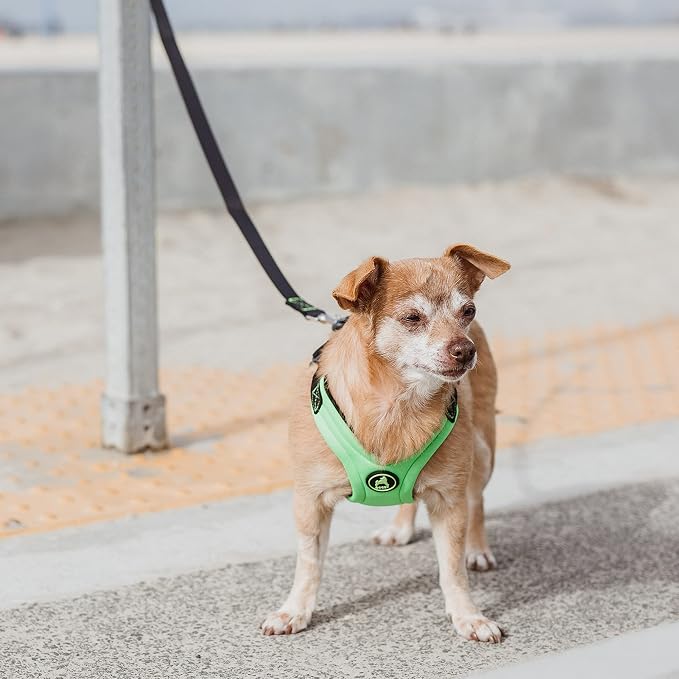 Gooby Escape Free Sport Dog Harness, Choke-Free, Lime, Large | Patented escape-free frame; Reduces choking; 4-point adjustment; Soft neoprene padding; Durable webbed straps - Image 6