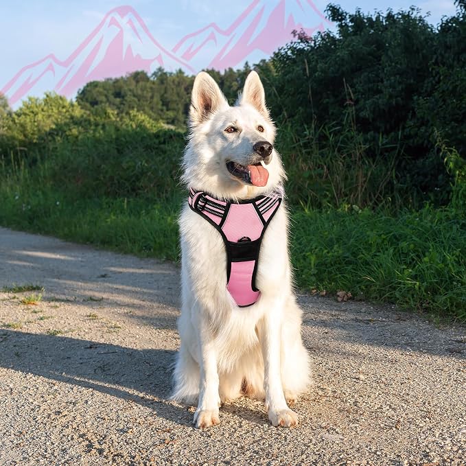 Eagloo Dog Harness for Large Dogs, No Pull Pet Vest with 2 Leash Clips | No Choke with Handle, Adjustable Comfort Fit, Reflective Strips, Easy Walking Control, Pink, X-Large - Image 8