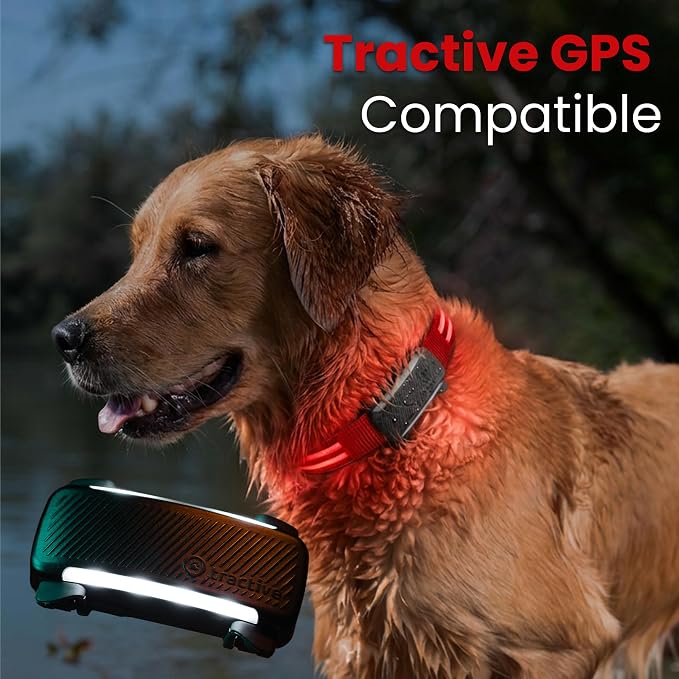 Tractive LED Light Up Dog Collar USB Rechargeable Waterproof (Red) - Image 5