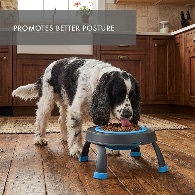 Dexas Pets Elevated Pet Feeder, Large, 4 Cup Capacity, Pro Blue, Raised Pet Food and Water Bowl - Image 3