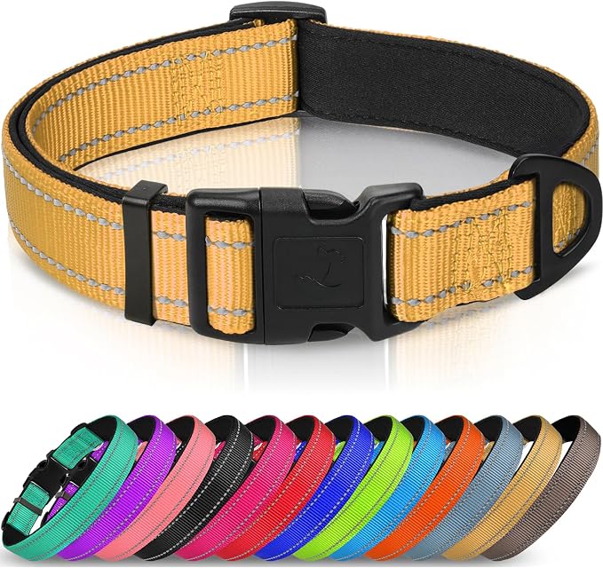 Joytale Reflective Dog Collar, Adjustable Neoprene Padded, Khaki M | Breathable Nylon for Medium Dogs, No Chafing on Walks and Backyard Play, All-Day Comfort, Metal D-Ring, Night Safety by Joytale
