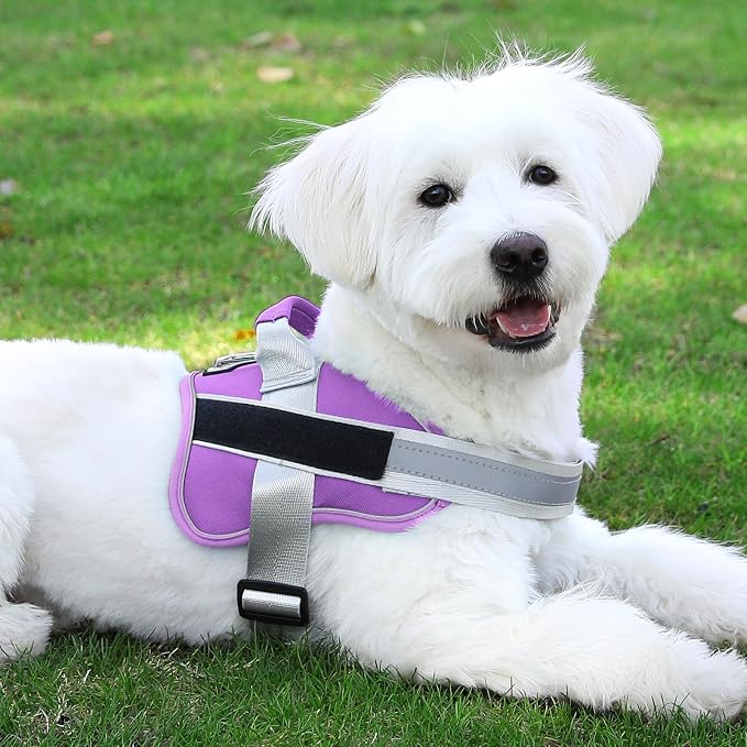 Dog Harness, No-Pull Reflective Dog Vest, Breathable Adjustable Pet Harness with Handle for Outdoor Walking - No More Pulling, Tugging or Choking (Lavender, X-Small (Pack of 1)) - Image 8