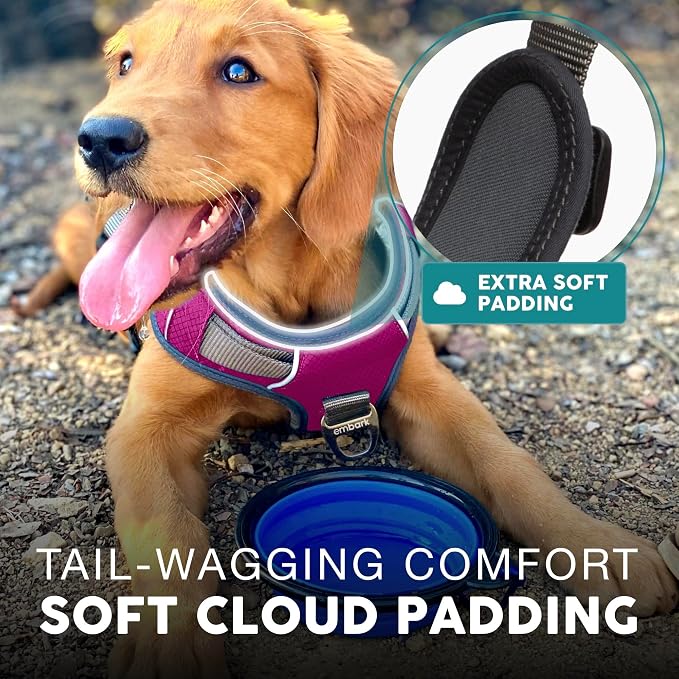 Embark No Pull Dog Harness, Reflective Adjustable Training Vest, No Choke | Adjustable straps fit all dog breeds with sturdy hooks; 360° reflective trim, soft padded Harness Design for All Dogs - Image 4