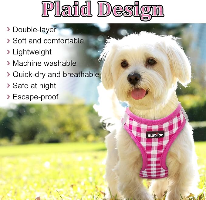 Dog Harness Step-in Breathable Puppy Cat Dog Vest Harnesses for Small Medium Dogs - Image 4