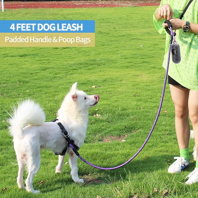 2/4/5/6 FT Dog Leash with Comfortable Padded Handle and Highly Reflective Threads for Small Medium and Large Dogs (4FT-1/2'', Purple) - Image 5