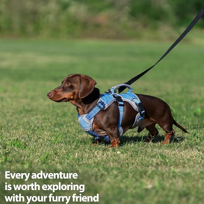 Escape Proof Dog Harness, Dachshund Harness, Reflective Dog Harness with Handle, Durable,Adjustable Vest for Small Medium Large Dogs Walking, Training, and Running Gear (Sea Blue,S) - Image 7