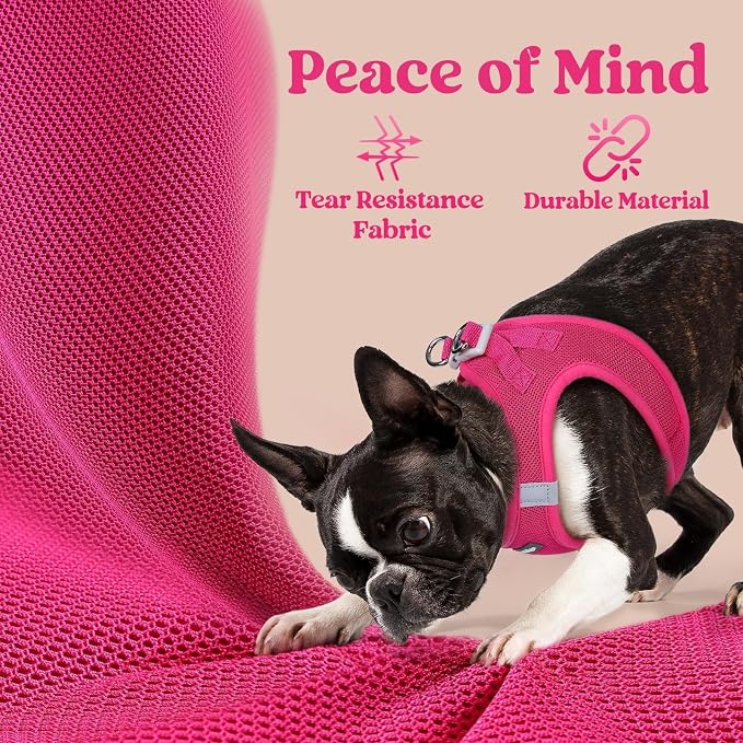 rabbitgoo Step-in Small Dog Harness, Puppy Vest for Small Sized Pet | Easy Put on and off, Lightweight, Soft, Breathable Quick-Dry Air Mesh for Comfortable Secure Walking, Rose Red XS - Image 5