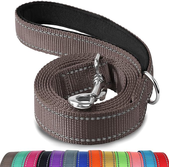 Joytale Reflective Dog Leash for Medium & Large Dogs, 4 FT x 1", Brown | Heavy Duty Nylon Webbing, Padded Handle for Comfort, Visible at Night, for Walking & Training by Joytale
