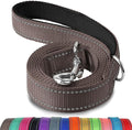 Joytale Reflective Dog Leash for Medium & Large Dogs, 4 FT x 1", Brown | Heavy Duty Nylon Webbing, Padded Handle for Comfort, Visible at Night, for Walking & Training by Joytale