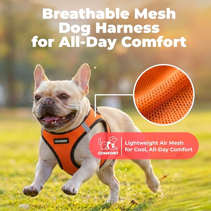 Voyager Step-in Air Dog Vest Harness - Orange/Black Trim, Medium | 16 - 18" in Chest, Reflective Bands, All Weather Breathable Air Mesh, Cats Compatible, Lightweight, Fast Drying - Image 5