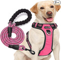 tobeDRI No Pull Dog Harness Adjustable Reflective Oxford Easy Control Medium Large Dog Harness with A Free Heavy Duty 5ft Dog Leash, Pink, S by tobeDRI