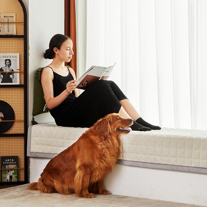 Couch Cover for Dogs Washable,Anti-Slip Back Cat Mat Pet Pad Blanket for Furniture Protector,Fuzzy Pet Sofa Cover for 3 Cushion Couch Sofa Pets Friendly (Ivory, 2pc/28"x28"-Arm/Backrest Cover) - Image 2