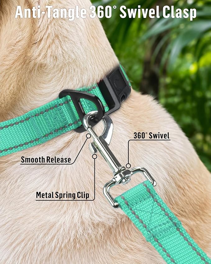 FunTags Reflective Nylon Dog Leash for Medium & Large Dogs, 4FT Training | Comfortable Padded Grip, Stay Safe at Night, 360° Anti-Tangle Swivel, for Dog Parks & Trails, Turquoise - Image 4