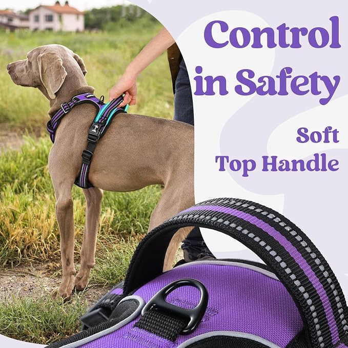 rabbitgoo Dog Harness Small Sized, Updated Easy On & Off with 3 Buckles | No Pull No Choke, Walking with 2 Clips and Handle, Adjustable Soft Reflective, Purple, Small - Image 5